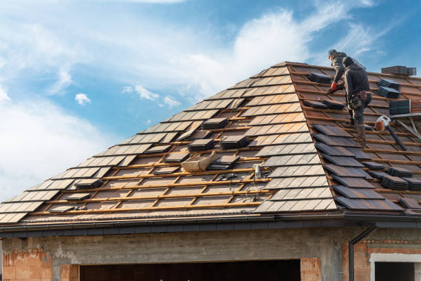 Fast & Reliable Emergency Roof Repairs in Rio Hondo, TX